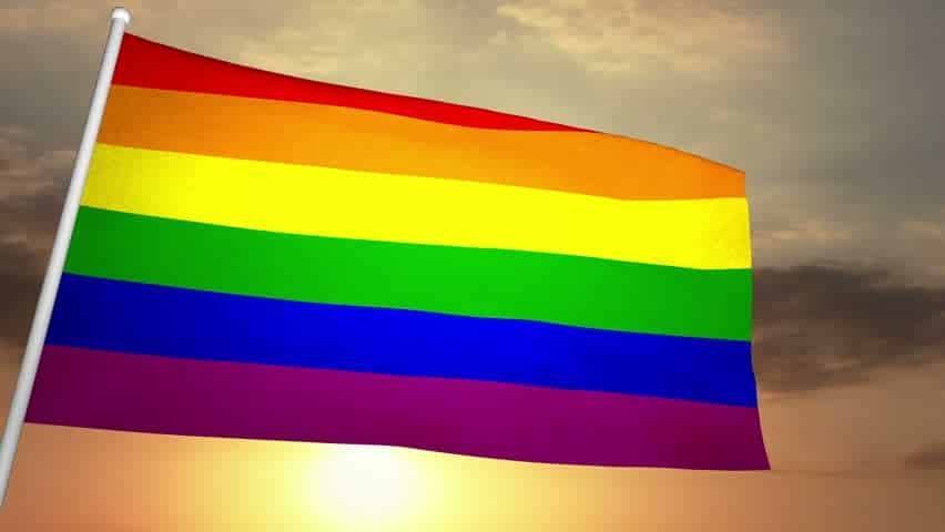 Gay Flag Sexual Identity Fox Emerson