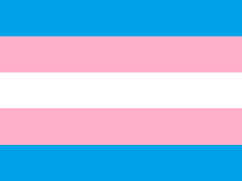 Transgender Flag Sexual Identity Fox Emerson