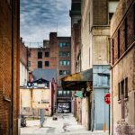 Dystopian Novels Fox Emerson