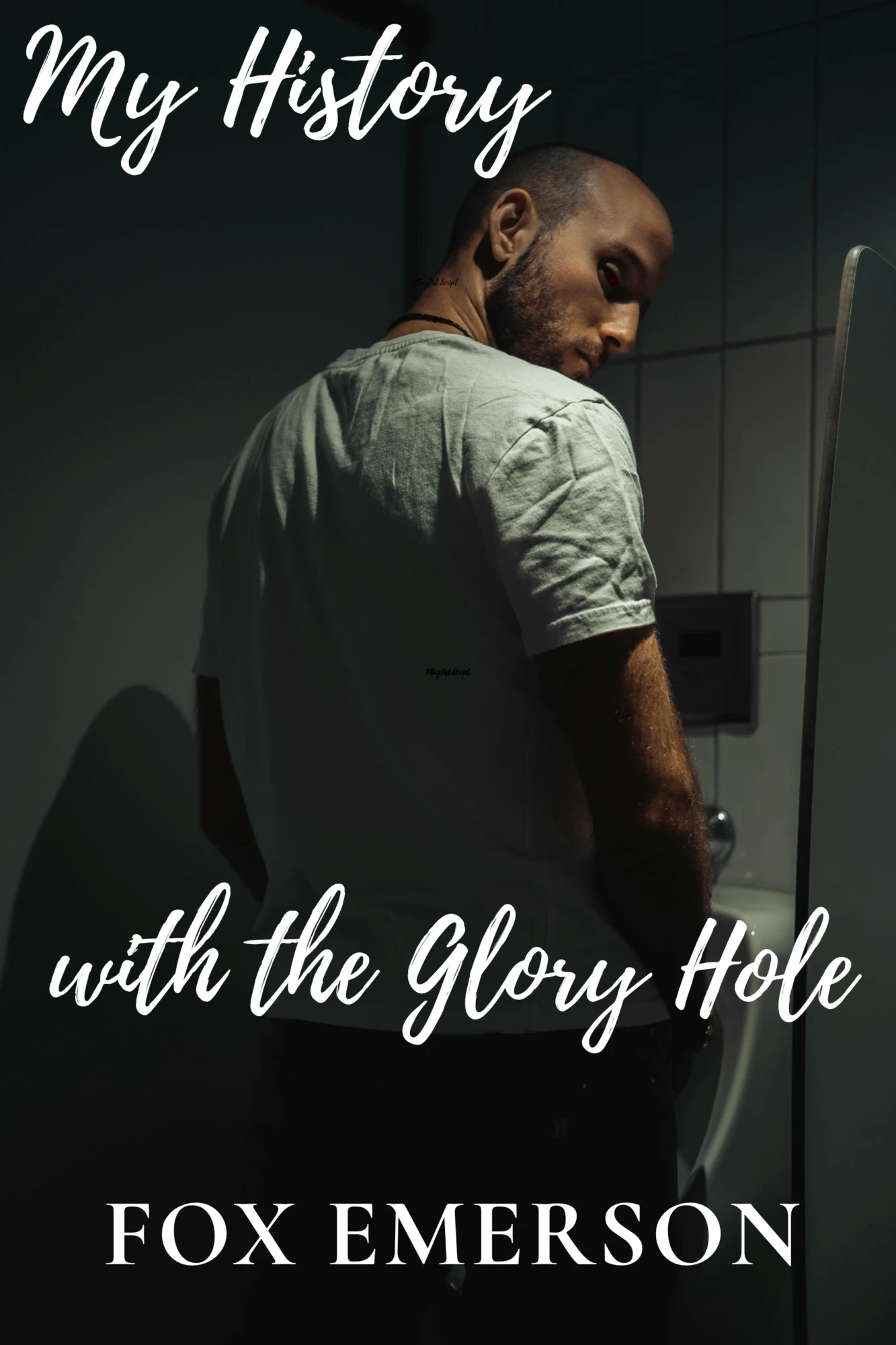 My History with the Glory Hole Short Gay Erotica Story2